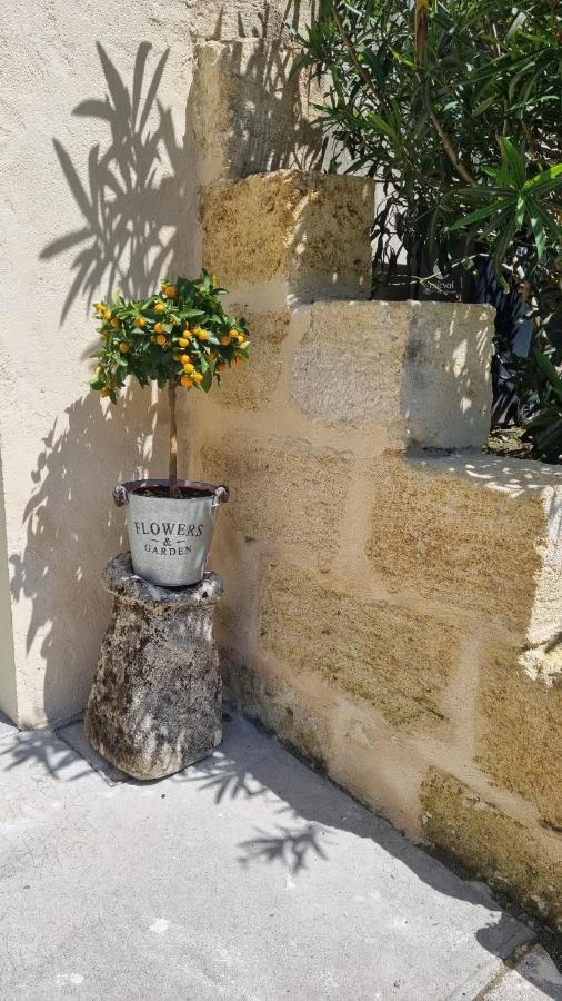 Chambre Saint Emilion - Le Clos D'Antan Les Artigues-de-Lussac Eksteriør billede