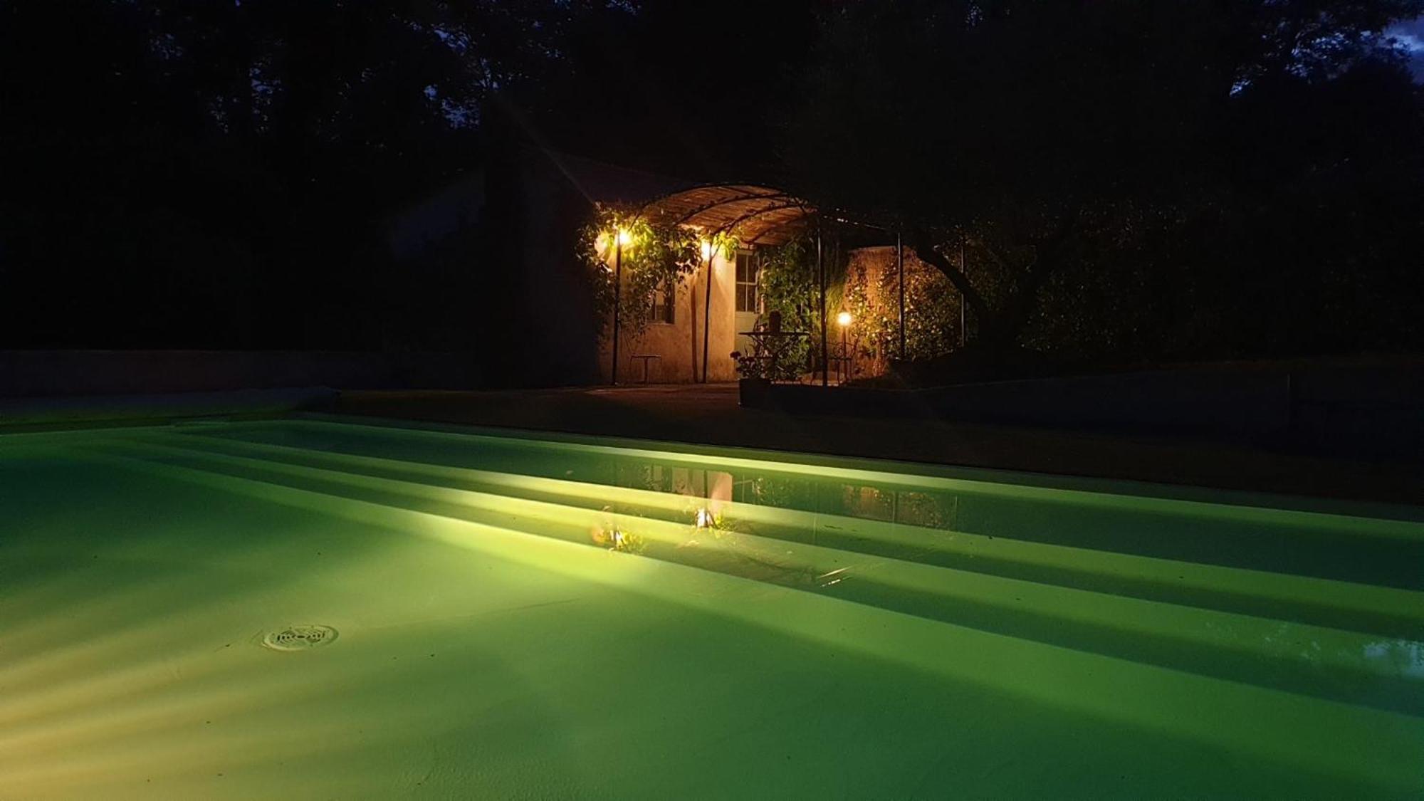 Chambre Saint Emilion - Le Clos D'Antan Les Artigues-de-Lussac Eksteriør billede